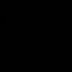 Meet your Posher, Isaac